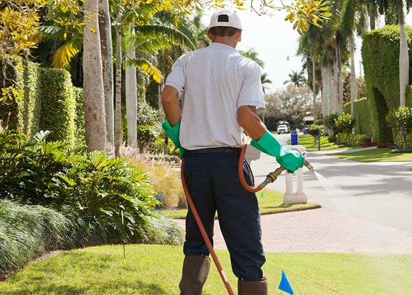 About East Poland ME Pest Control Pros